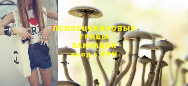 каннабис Майский