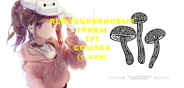 гидропоника Магадан
