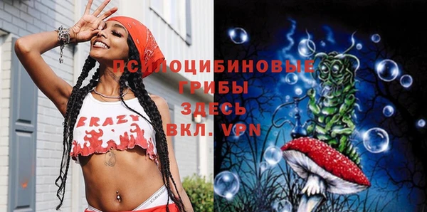 каннабис Майский