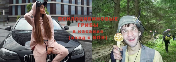 каннабис Майский