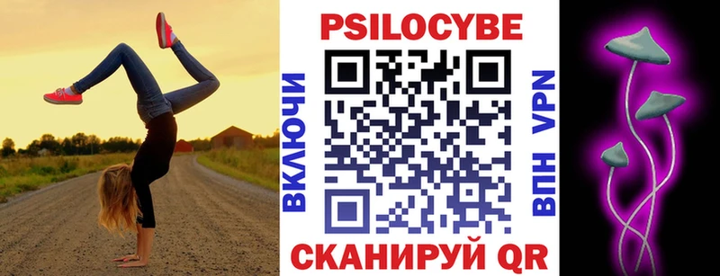 закладки Элиста Псилоцибиновые грибы прущие грибы