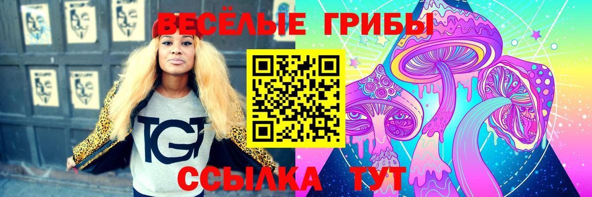 Псилоцибиновые грибы мицелий Элиста