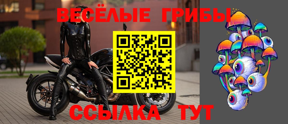 Псилоцибиновые грибы ЛСД  Вход с VPN  Псилоцибиновые грибы Psilocybine cubensis  Элиста 